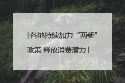 各地持续加力“两新”政策 释放消费潜力