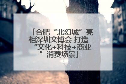 合肥“北幻城”亮相深圳文博会 打造“文化+科技+商业”消费场景