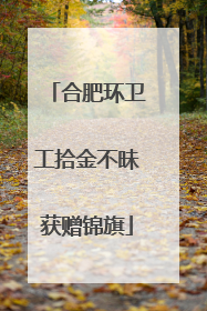 合肥环卫工拾金不昧获赠锦旗