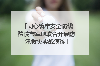 同心筑牢安全防线 醴陵市军地联合开展防汛救灾实战演练