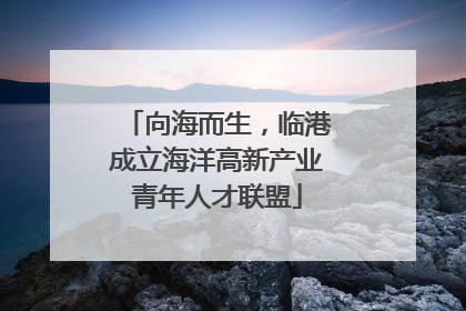向海而生，临港成立海洋高新产业青年人才联盟