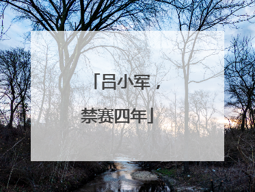 吕小军，禁赛四年