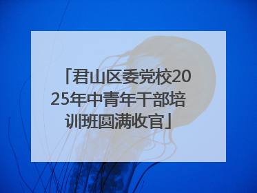 君山区委党校2025年中青年干部培训班圆满收官