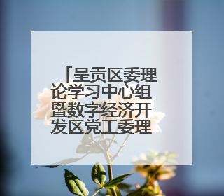 呈贡区委理论学习中心组暨数字经济开发区党工委理论学习中心组举行2025年第七次学习会议