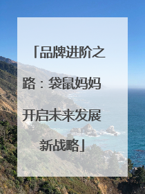 品牌进阶之路：袋鼠妈妈开启未来发展新战略