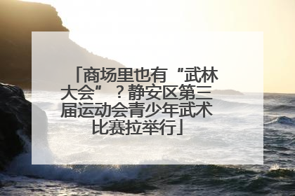 商场里也有“武林大会”？静安区第三届运动会青少年武术比赛拉举行