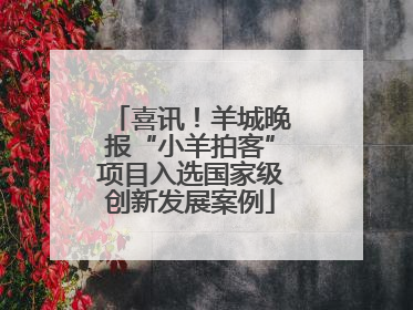 喜讯！羊城晚报“小羊拍客”项目入选国家级创新发展案例