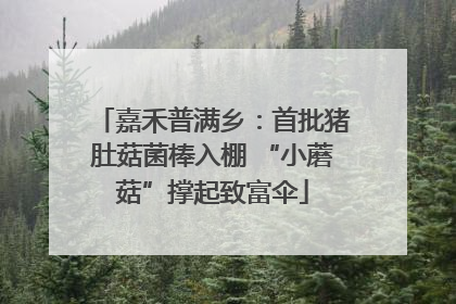 嘉禾普满乡：首批猪肚菇菌棒入棚 “小蘑菇”撑起致富伞