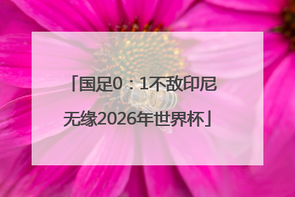 国足0：1不敌印尼 无缘2026年世界杯