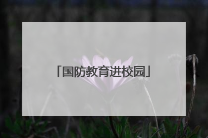 国防教育进校园