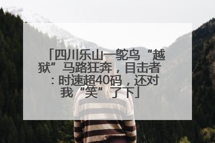 四川乐山一鸵鸟“越狱”马路狂奔，目击者：时速超40码，还对我“笑”了下