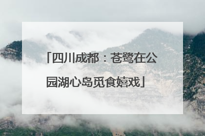 四川成都：苍鹭在公园湖心岛觅食嬉戏