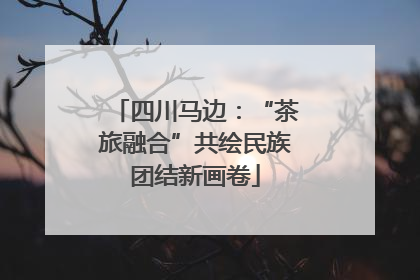 四川马边：“茶旅融合”共绘民族团结新画卷