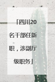 四川20名干部任新职，涉副厅级职务
