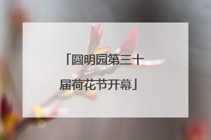 圆明园第三十届荷花节开幕