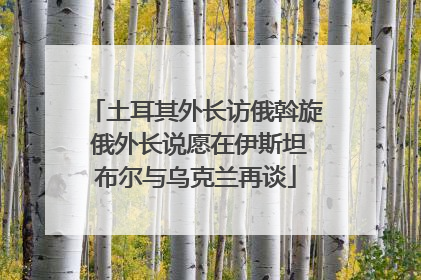土耳其外长访俄斡旋 俄外长说愿在伊斯坦布尔与乌克兰再谈
