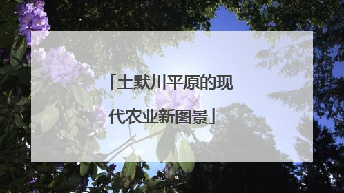 土默川平原的现代农业新图景