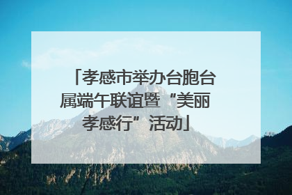 孝感市举办台胞台属端午联谊暨“美丽孝感行”活动