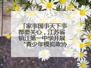 家事国事天下事都要关心，江苏省镇江第一中学开展“青少年模拟政协活动”