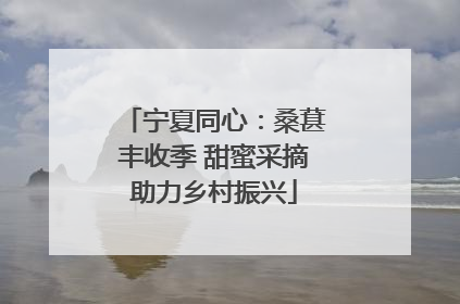 宁夏同心：桑葚丰收季 甜蜜采摘助力乡村振兴