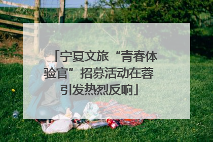 宁夏文旅“青春体验官”招募活动在蓉引发热烈反响