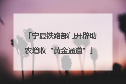 宁夏铁路部门开辟助农增收“黄金通道”
