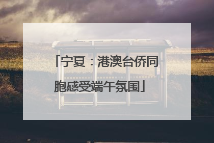 宁夏：港澳台侨同胞感受端午氛围