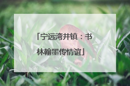 宁远湾井镇：书林翰墨传情谊