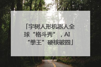 宇树人形机器人全球“格斗秀”，AI“拳王”硬核破圈