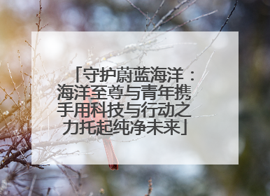 守护蔚蓝海洋：海洋至尊与青年携手用科技与行动之力托起纯净未来