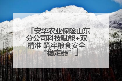 安华农业保险山东分公司科技赋能+双精准 筑牢粮食安全“稳定器”