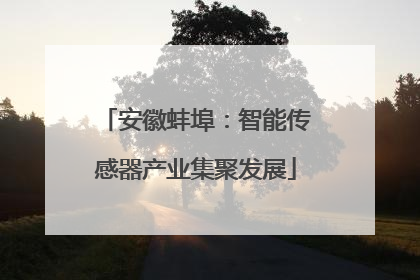 安徽蚌埠：智能传感器产业集聚发展