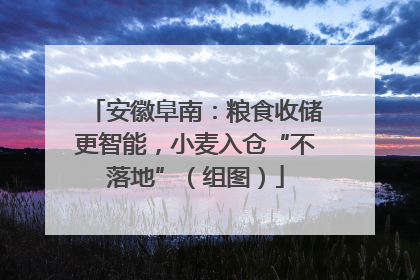 安徽阜南：粮食收储更智能，小麦入仓“不落地”（组图）