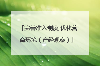完善准入制度 优化营商环境（产经观察）
