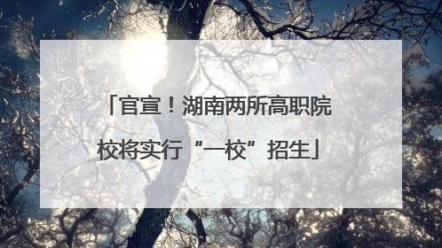 官宣！湖南两所高职院校将实行“一校”招生