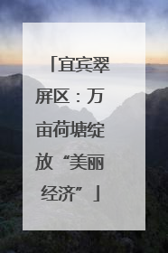 宜宾翠屏区：万亩荷塘绽放“美丽经济”