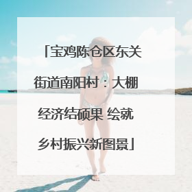 宝鸡陈仓区东关街道南阳村：大棚经济结硕果 绘就乡村振兴新图景