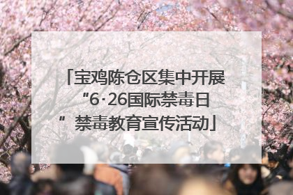 宝鸡陈仓区集中开展“6･26国际禁毒日”禁毒教育宣传活动