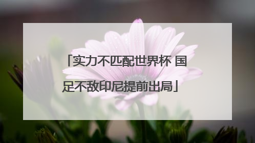 实力不匹配世界杯 国足不敌印尼提前出局