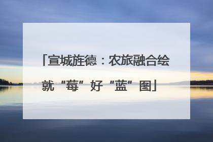 宣城旌德：农旅融合绘就“莓”好“蓝”图