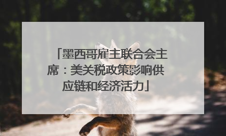 墨西哥雇主联合会主席：美关税政策影响供应链和经济活力