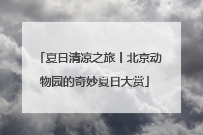 夏日清凉之旅丨北京动物园的奇妙夏日大赏