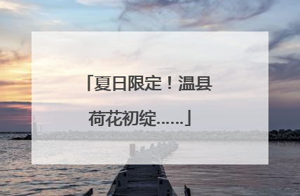 夏日限定！温县荷花初绽……