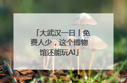 大武汉一日丨免费人少，这个博物馆还能玩AI