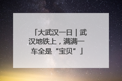 大武汉一日｜武汉地铁上，满满一车全是“宝贝”