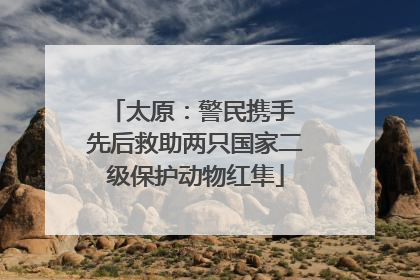 太原：警民携手 先后救助两只国家二级保护动物红隼