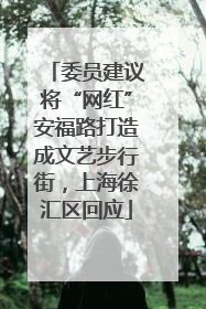 委员建议将“网红”安福路打造成文艺步行街，上海徐汇区回应