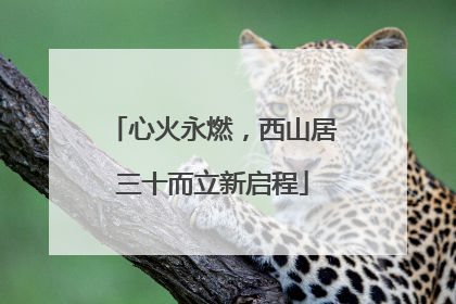 心火永燃，西山居三十而立新启程