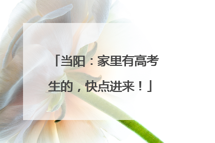 当阳：家里有高考生的，快点进来！