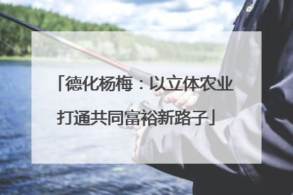 德化杨梅：以立体农业打通共同富裕新路子